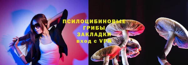ПСИЛОЦИБИНОВЫЕ ГРИБЫ Богородицк