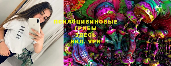 бутират Белокуриха