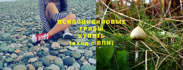 бутират Белокуриха